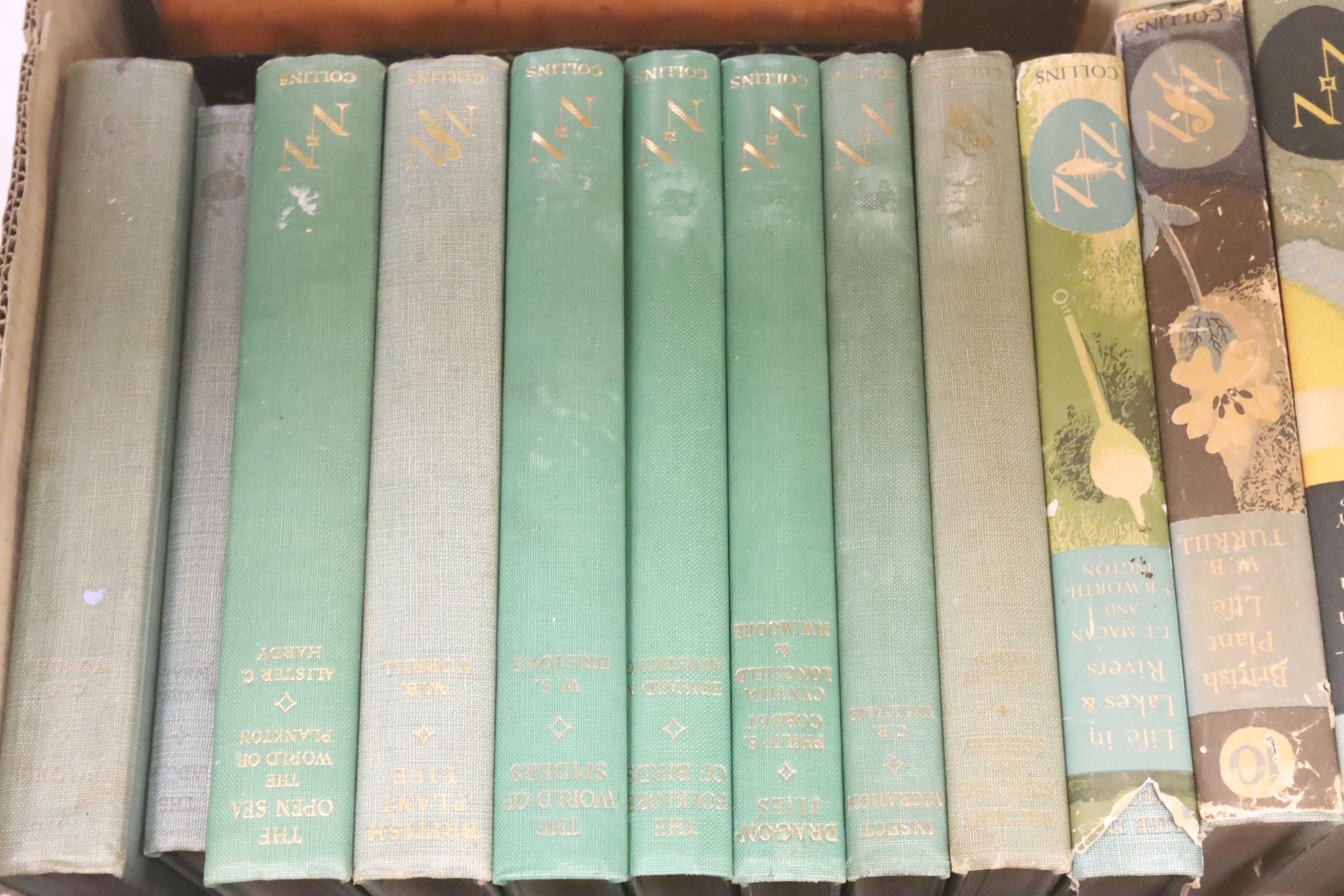 Ornithology and Natural History - A miscellany of approximately 33 volumes, in 2 boxes